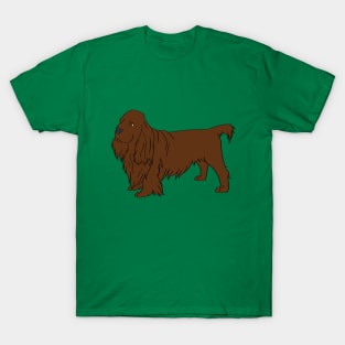 sussex spaniel T-Shirt